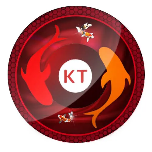 KOITOTO - Balap Mobil Penuh Aksi dan Kecepatan